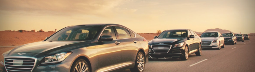 Executive Protection & Convoy Driving Training Executive Protection & Convoy Driving Training